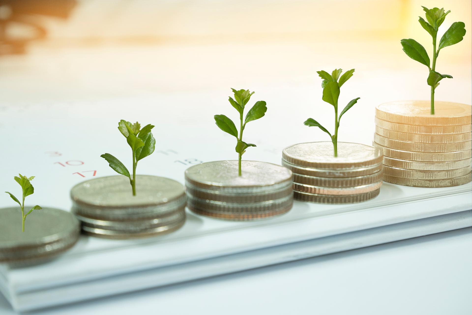 Dollar Cost > Coins with plants growing out of them